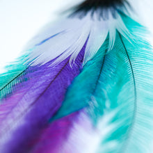 Load image into Gallery viewer, Vibrant Peacock and Emu Feather Earring

