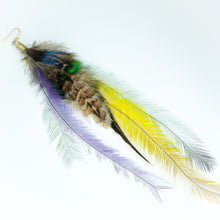 Load image into Gallery viewer, Multicolour Peacock and Emu Feather Earring
