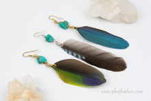 Load image into Gallery viewer, Parrot Feather Earrings
