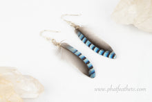 Load image into Gallery viewer, Jay Bird Feather Earrings
