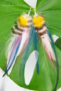 Striped Feather Earrings