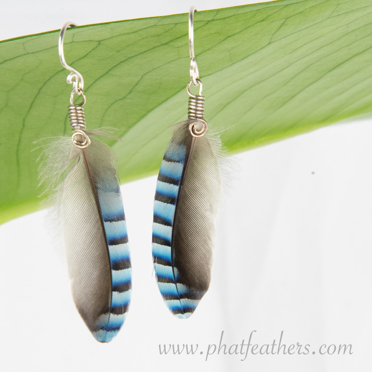Kotare Feather Earrings - Handpainted Silver - Creative & Brave