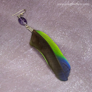 Statement Blue and Green Macaw Feather Earring
