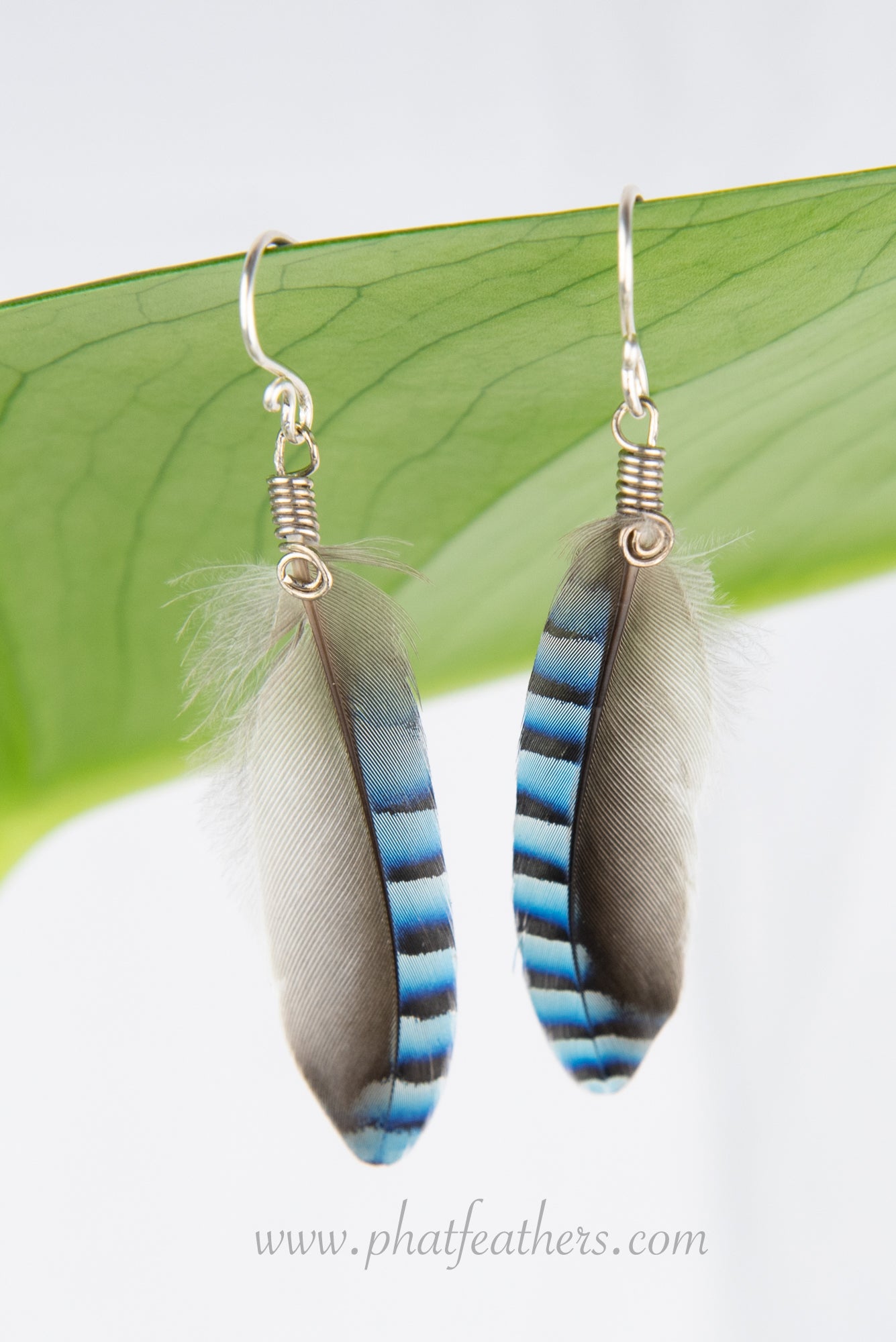 Jay King Sterling Silver Feather Gray Calcite Bead Dangle Earrings -  20917964 | HSN
