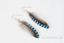 Load image into Gallery viewer, Jay Bird Feather Earrings
