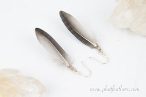Jay Bird Feather Earrings