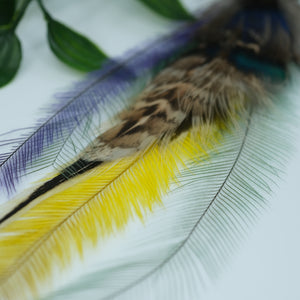 Multicolour Peacock and Emu Feather Earring