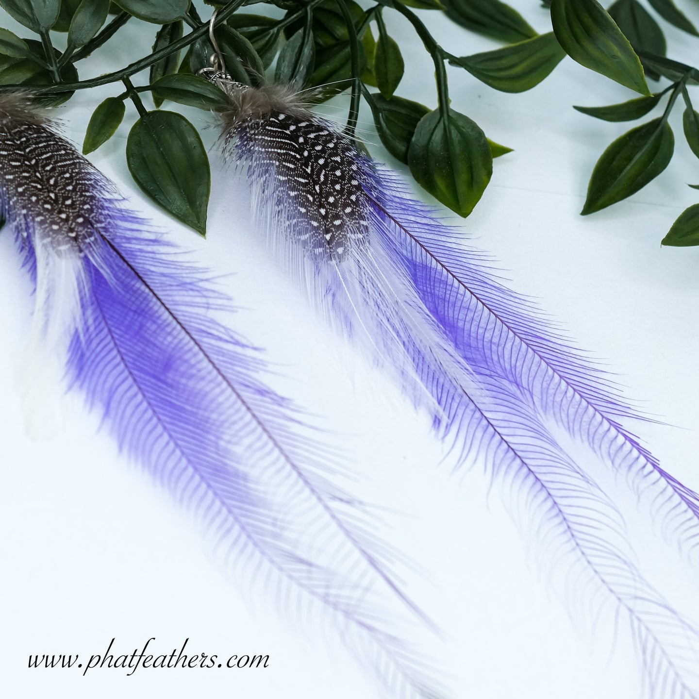 Statement Emu, Guinea Fowl and Rooster Feather Earrings