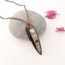 Load image into Gallery viewer, Orthoceras Fossil Necklace
