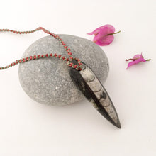 Load image into Gallery viewer, Orthoceras Fossil Necklace
